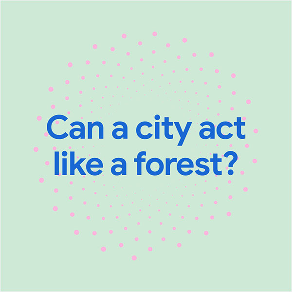 Can a city act like a forest?